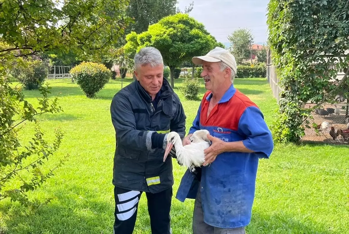Tokat'ta Yaralı Leylek İtfaiye Ekipleri Tarafından Kurtarıldı