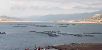 Tokat'ın Almus İlçesinden 29 Ülkeye Balık İhracatı