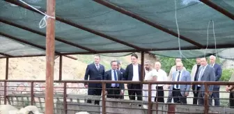 Tokat Valisi Abdullah Köklü, TOGÜ'yü Ziyaret Etti