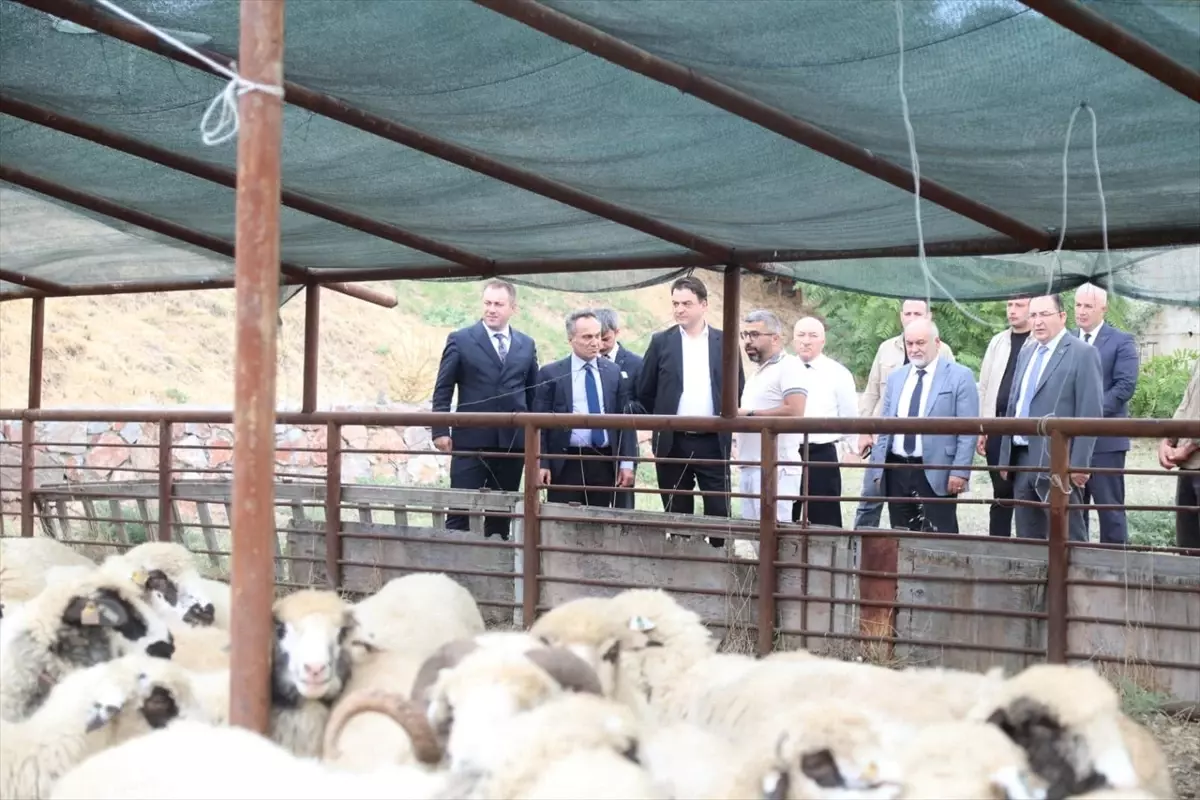 Tokat Valisi Abdullah Köklü, TOGÜ'yü Ziyaret Etti