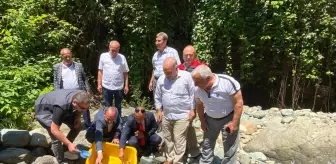 Küçükdere Vadisi'ne 10 Bin Kırmızı Benekli Alabalık Salındı