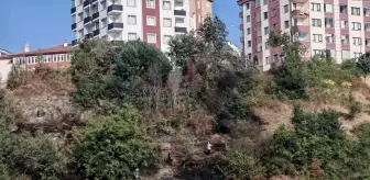 Trabzon'da Ağaçlık Alanda Yangın Söndürüldü