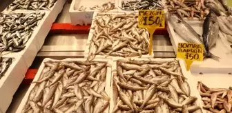 Trabzon'da Balık Fiyatları ve Sezon Hareketliliği