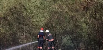 Trabzon'da Ç çıkan örtü yangını kontrol altına alındı