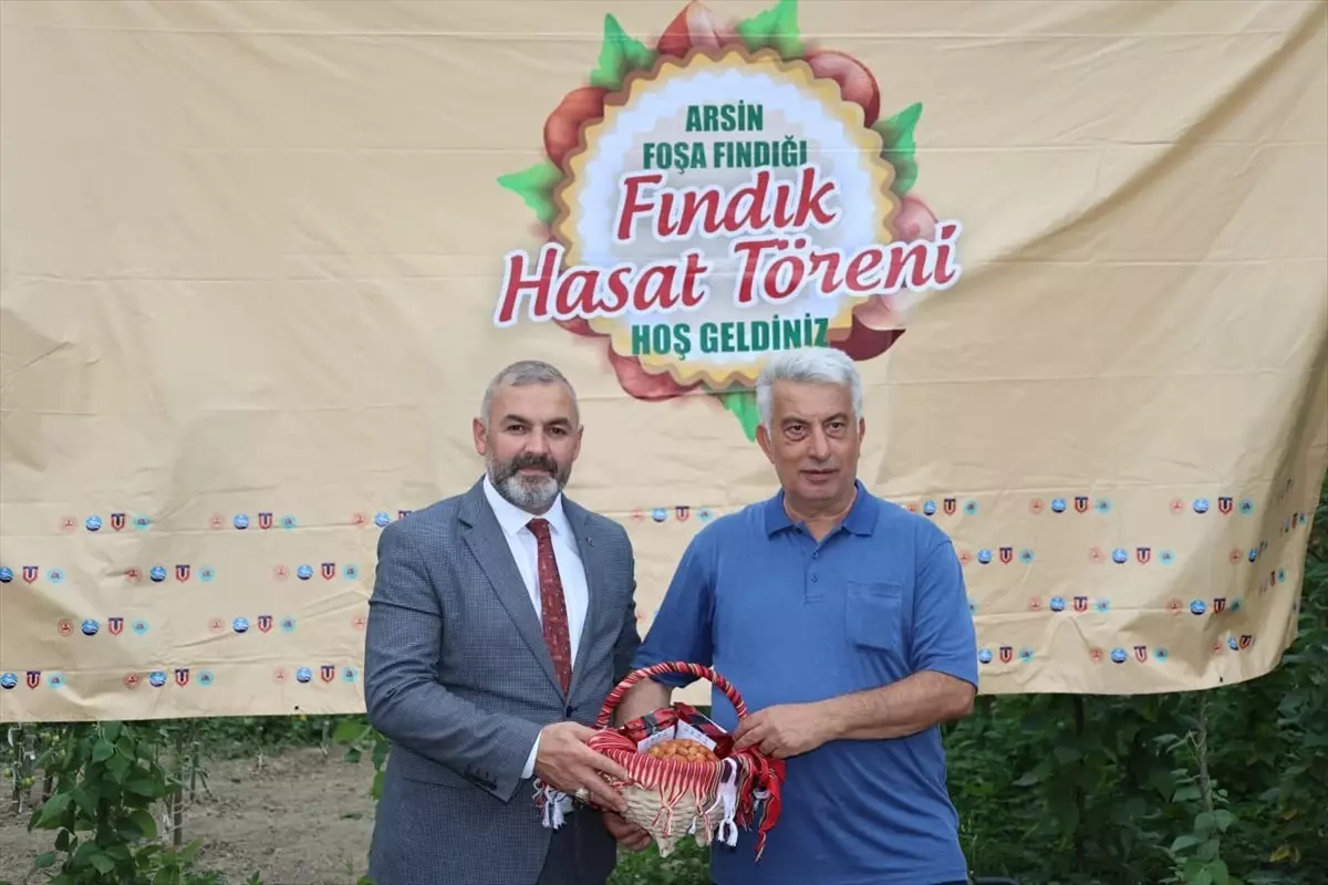 Arsin Foşa Fındığı Hasadı İçin Tören Düzenlendi