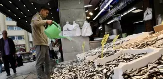 Trabzon'da Hamsi Fiyatları 100 Lira ile Başladı