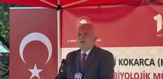 Trabzon'da Samuray Arılarıyla Biyolojik Mücadele Başlatıldı