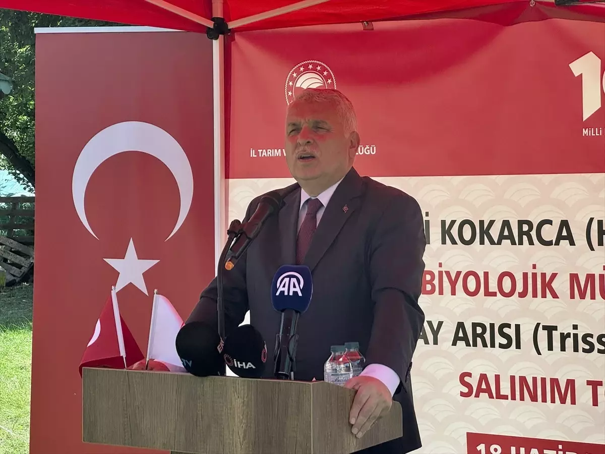 Trabzon'da Samuray Arılarıyla Biyolojik Mücadele Başlatıldı