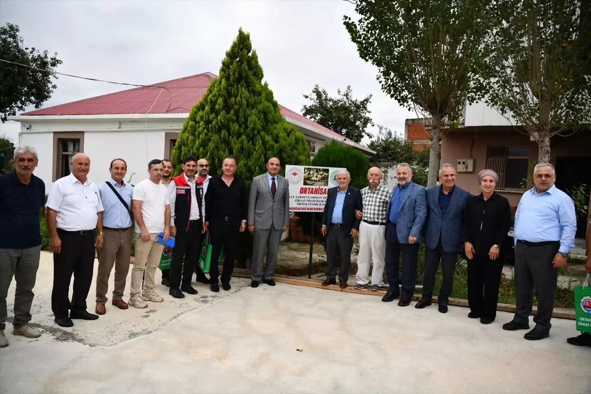 Trabzon'da Fındık Hasat Etkinliği Düzenlendi