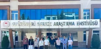 Karadeniz İçin Akuakültür Eğitimi Düzenlendi