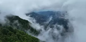 Hıdırnebi Yaylası: Doğa ve Fotoğraf Tutkunlarının Favorisi