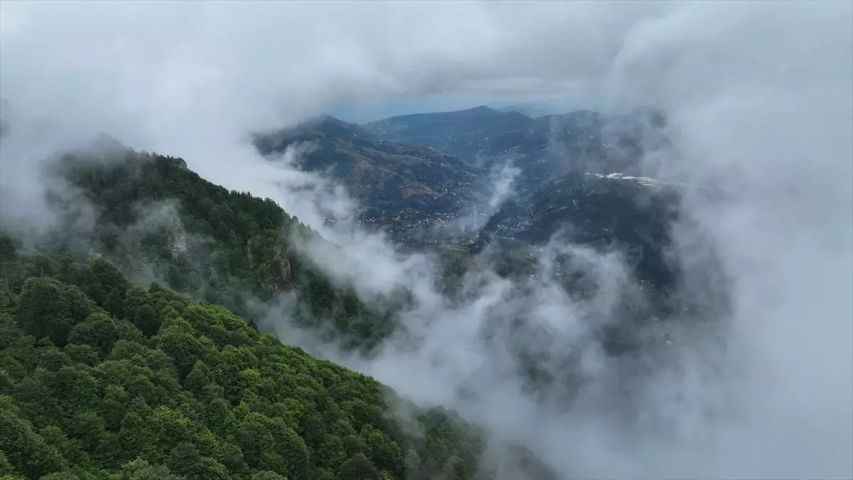 Hıdırnebi Yaylası: Doğa ve Fotoğraf Tutkunlarının Favorisi