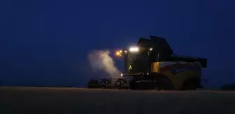 Trakya'da Buğday Hasadı Gece Yapılıyor