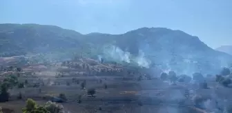 Hozat'ta Orman Yangını Kontrol Altına Alındı