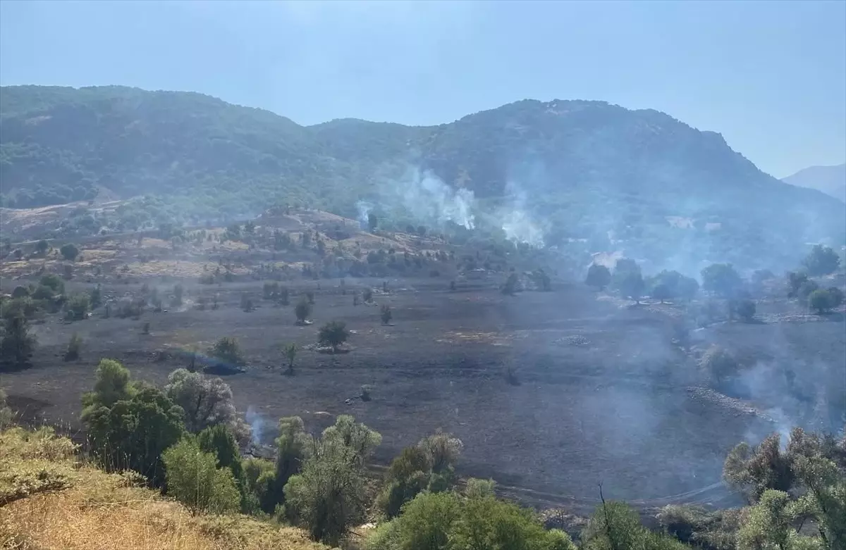 Hozat'ta Orman Yangını Kontrol Altına Alındı
