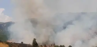 Tunceli'de Orman Yangınına Müdahale Ediliyor
