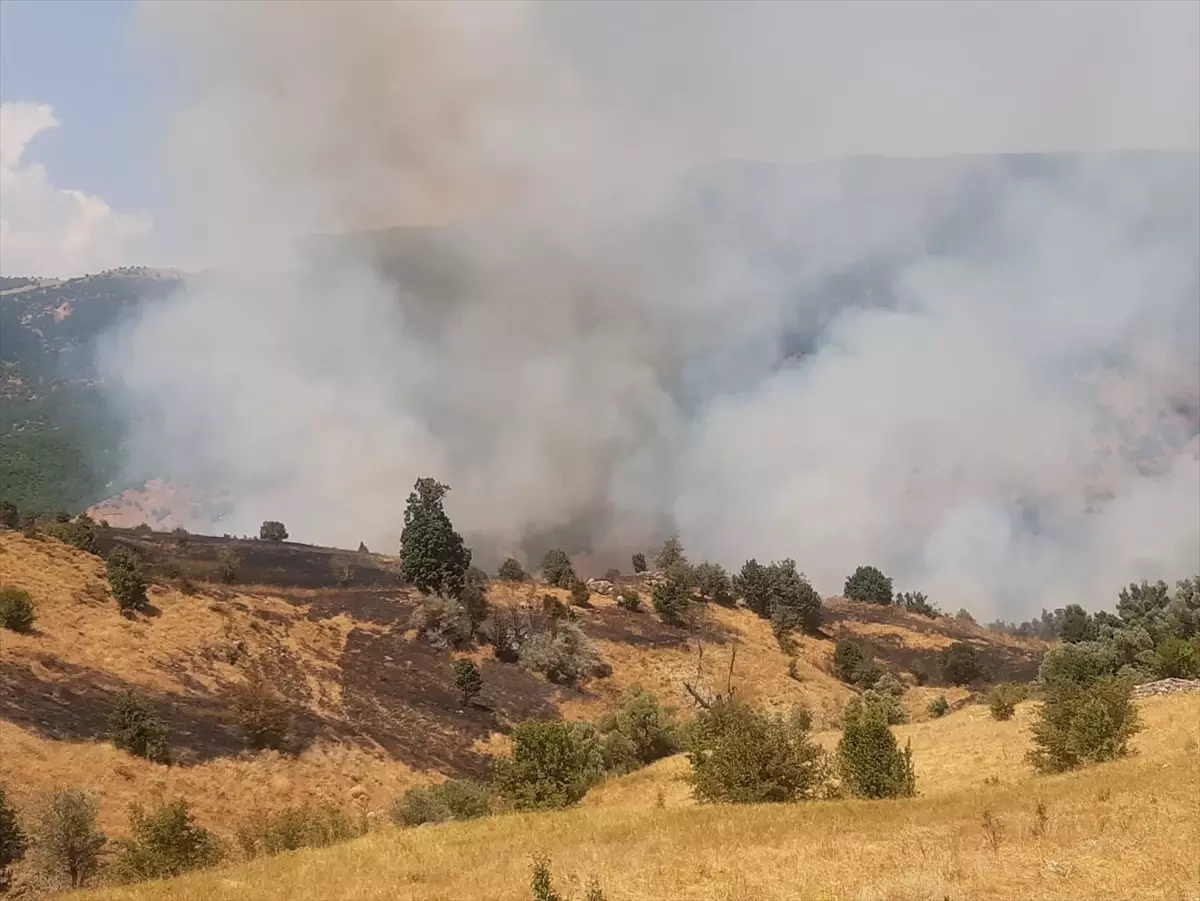 Tunceli'de Orman Yangınına Müdahale Ediliyor
