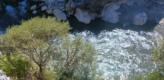 Tunceli'de Otomobilin Şarampole Devrilmesi Sonucu 3 Yaralı