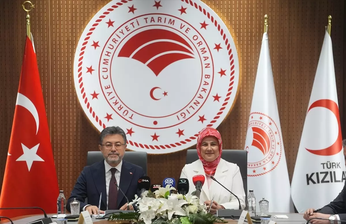 Kızılay'a Kan Bağışında Bulunanlar İçin Fidan Dikimi Protokolü İmzalandı