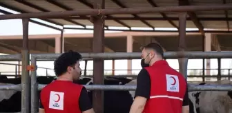 Türk Kızılay, Irak'ta 9 Ton Kurbanlık Et Bağışı Yapacak