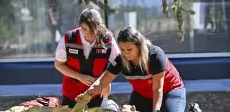 Orman Yangınları İçin İlk Yardım Eğitimi Düzenlendi
