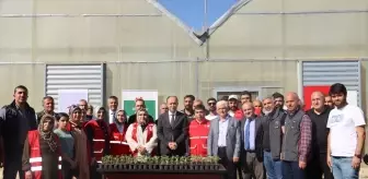Türk Kızılay, Diyarbakır'da 10 Bin Sebze Fidesini Ücretsiz Dağıttı