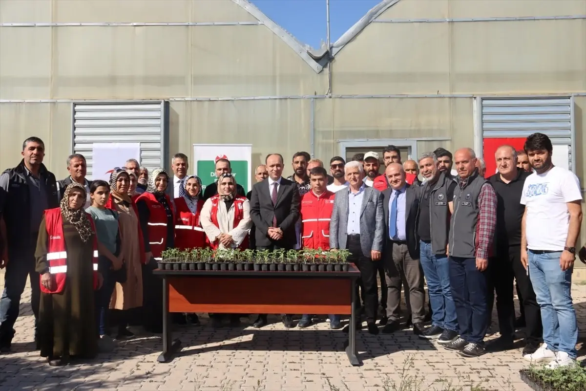 Türk Kızılay, Diyarbakır'da 10 Bin Sebze Fidesini Ücretsiz Dağıttı