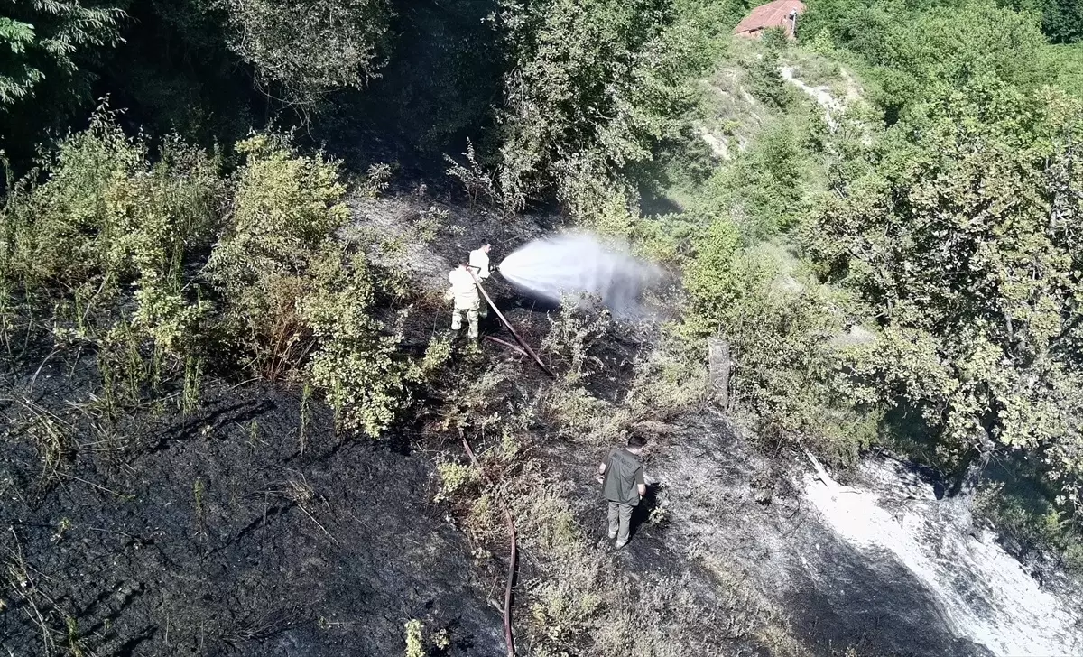 Sinop'un Türkeli ilçesinde makilik alanda yangın söndürüldü