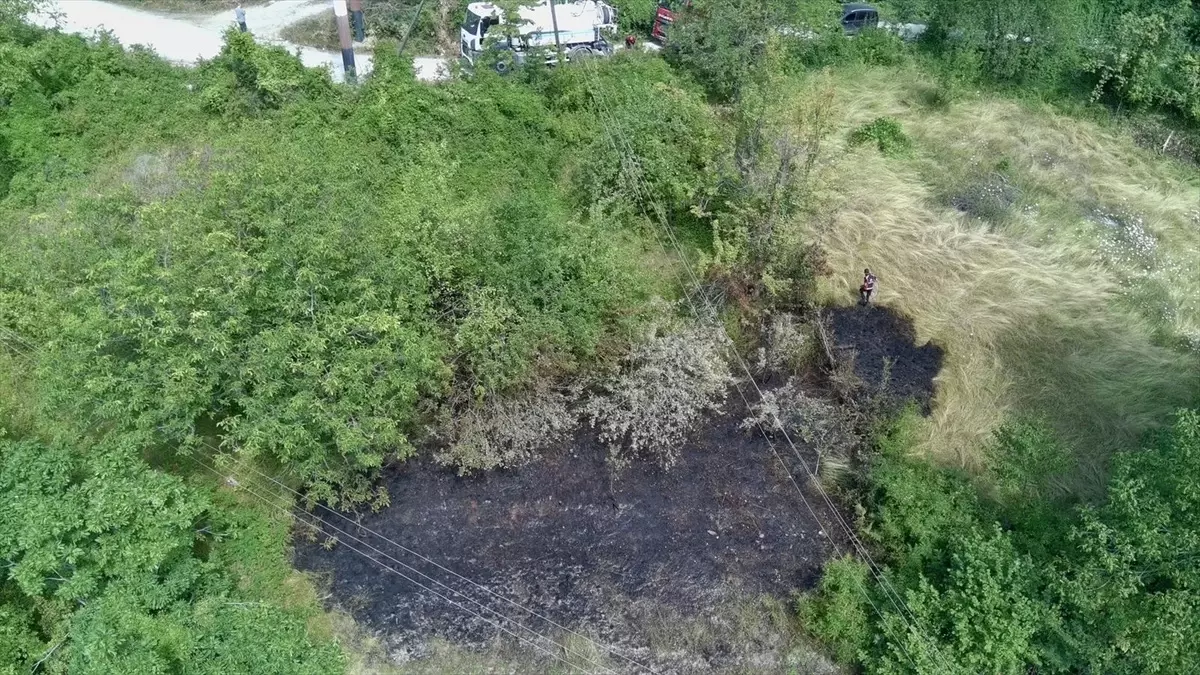 Sinop'ta Otluk Alanda Yangın Kontrol Altına Alındı