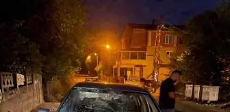 Otomobilin Çarptığı İnek Telef Oldu