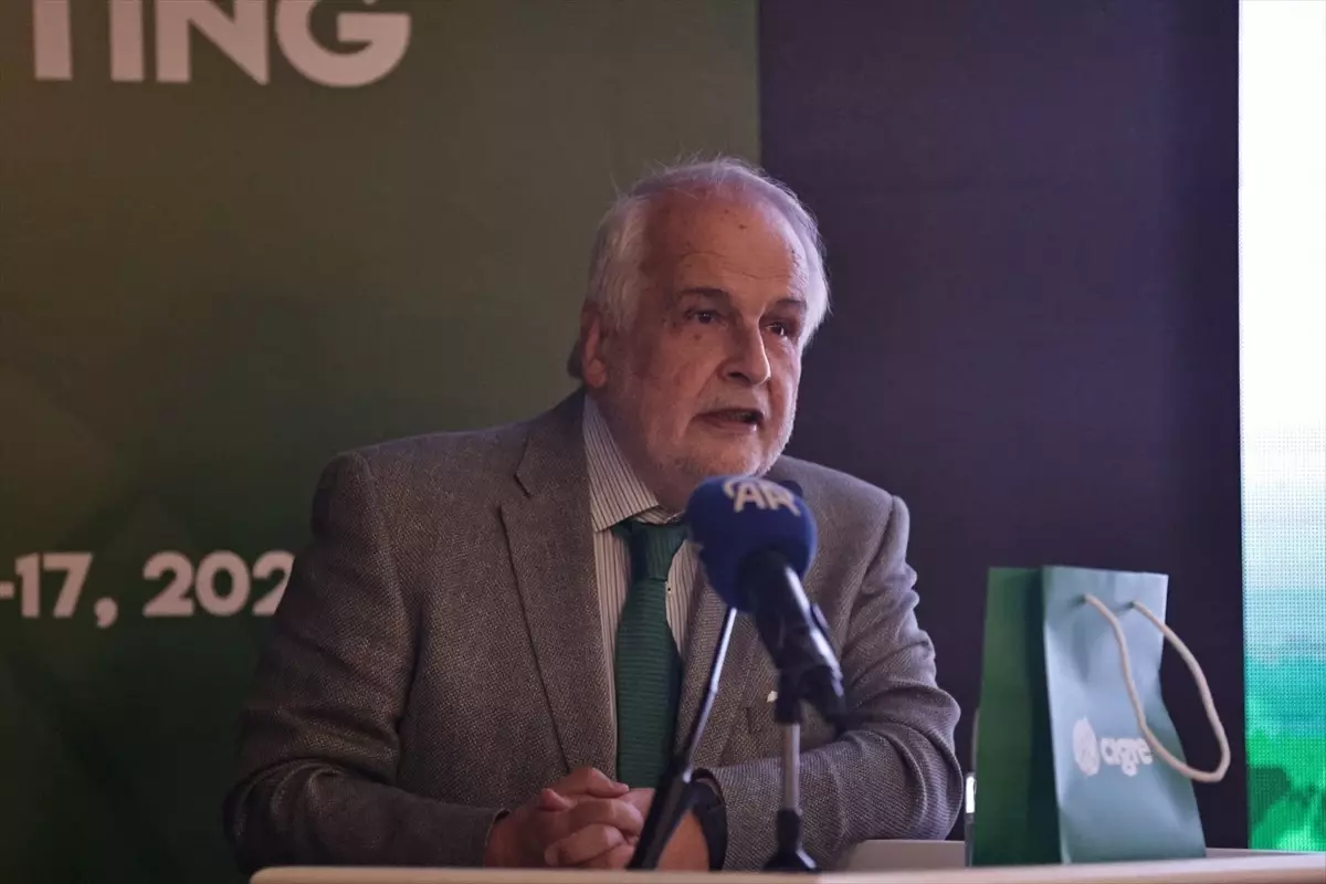 CIGRE Başkanı: Türkiye Elektrik İletiminde Önemli Bir Rol Oynuyor