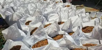 Türkiye Kuru Üzüm İhracatında Miktar Düşerken Gelir Rekoru Kırdı