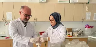 Özbekistan'da Tıbbi Sülük Araştırma Merkezi Kuruldu