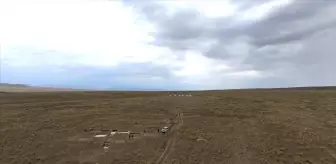 Togu Balık'ta Tarih Yeniden Keşfediliyor