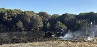 Tuzla'da Otluk Alanda Yangın Kontrol Altına Alındı