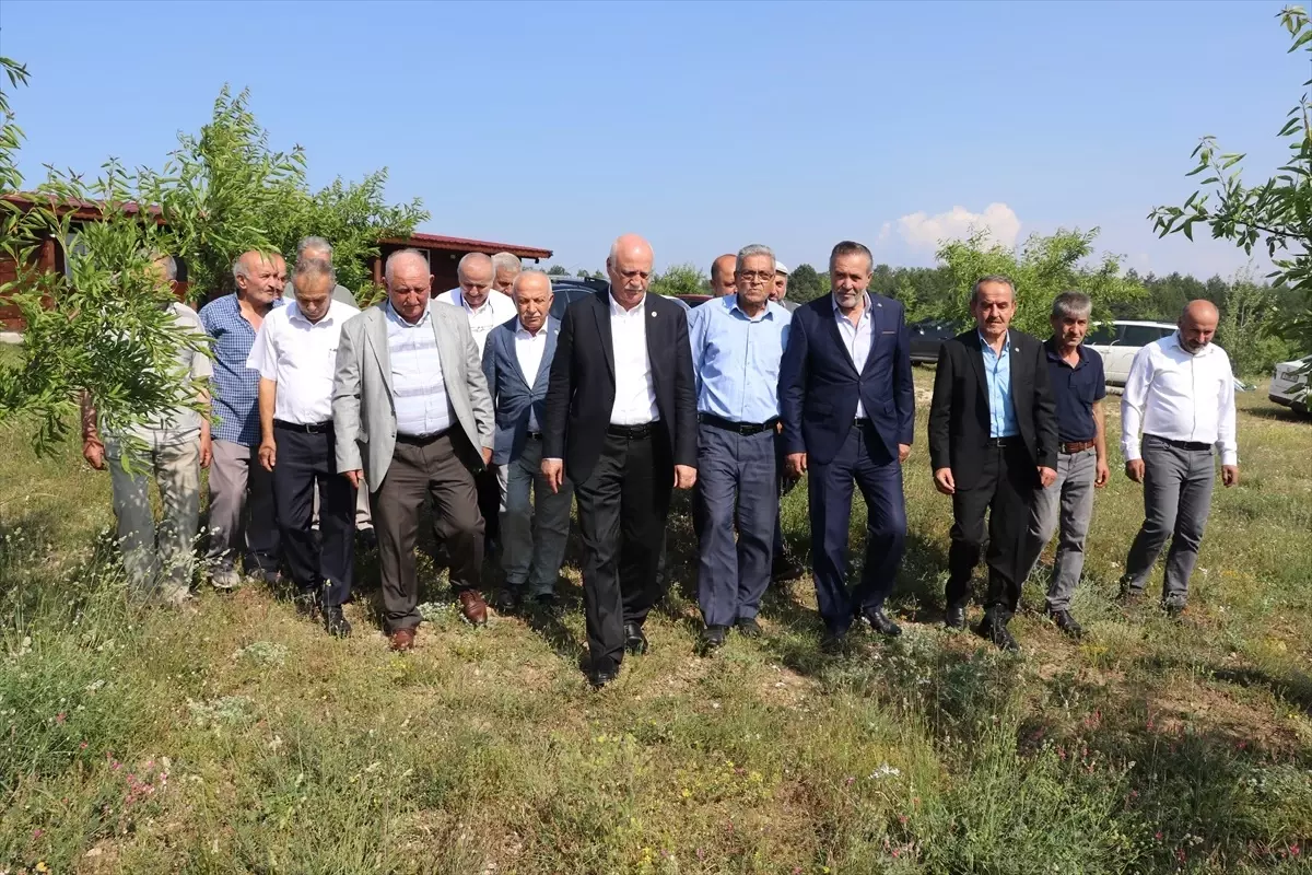 Zirai Don Krizi: TZOB Başkanı Bayraktar, Tarım Alanlarını İnceledi