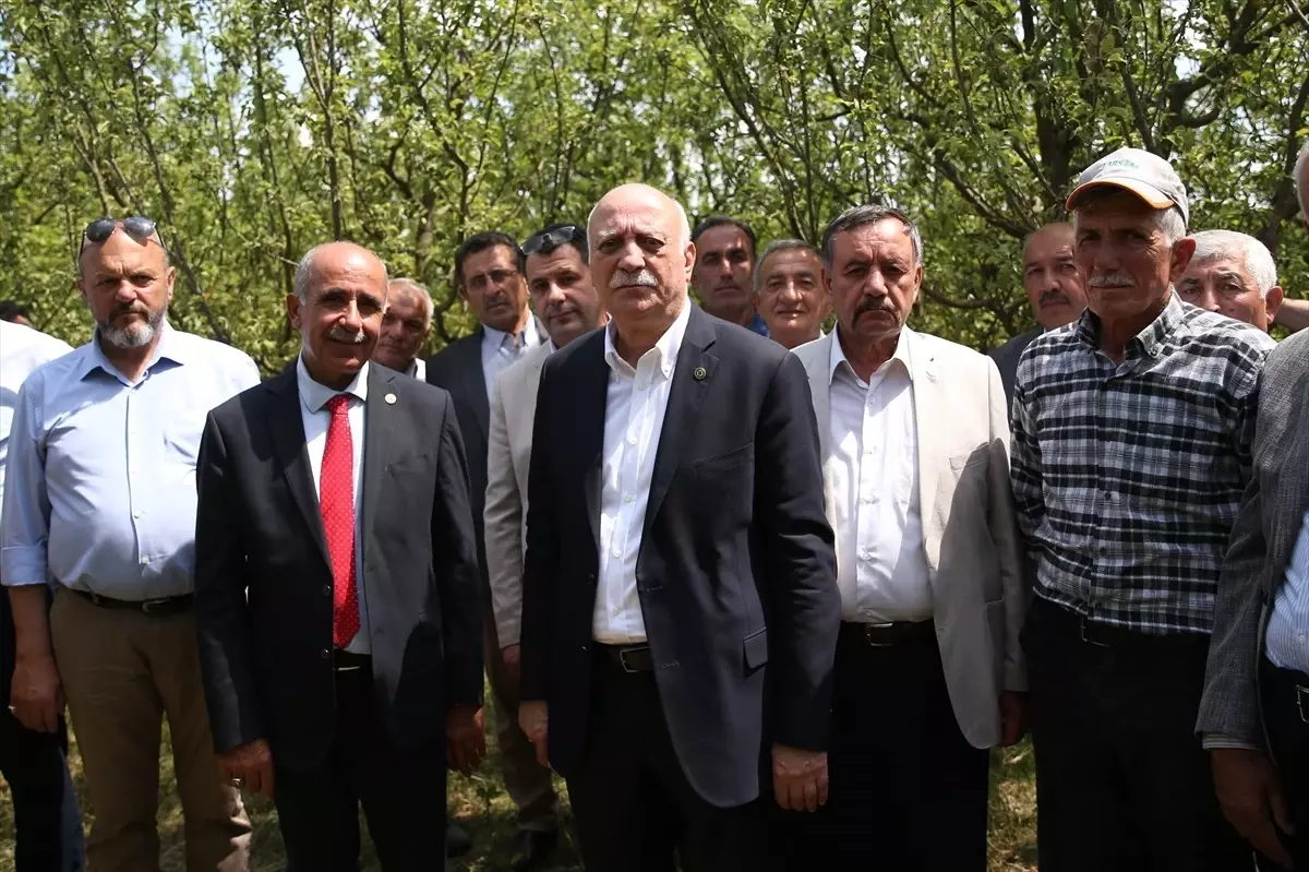 Dondan Etkilenen Tarım Arazileri İncelendi