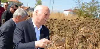 TZOB Genel Başkanı Bayraktar, Samsun'da Ziyaretlerde Bulundu