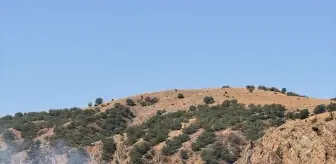 Çorum'da Otluk Alanda Yangın Çıktı, İtfaiye Ekipleri Müdahale Etti