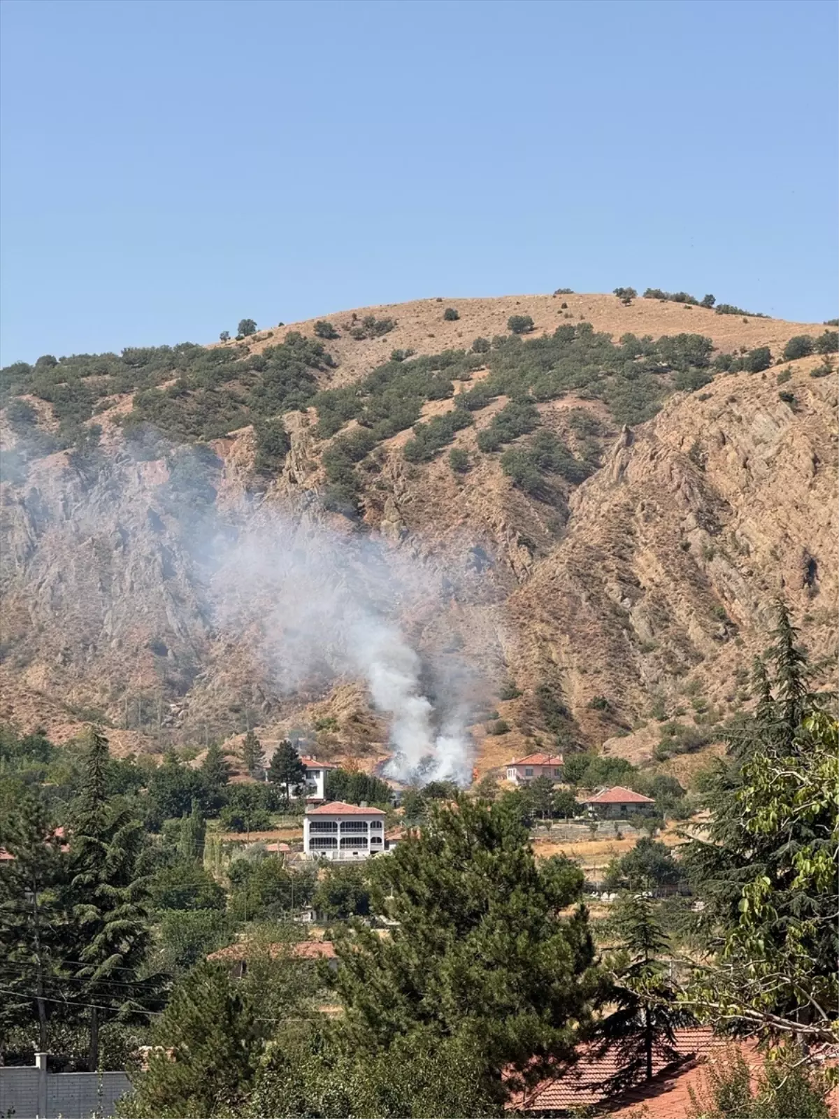 Çorum'da Otluk Alanda Yangın Çıktı, İtfaiye Ekipleri Müdahale Etti
