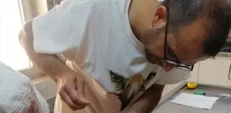 Kelaynakların Göçü Takip Ediliyor: Umut ve Sıla İsimli İki Birey Uydu Vericisiyle Göç Etti