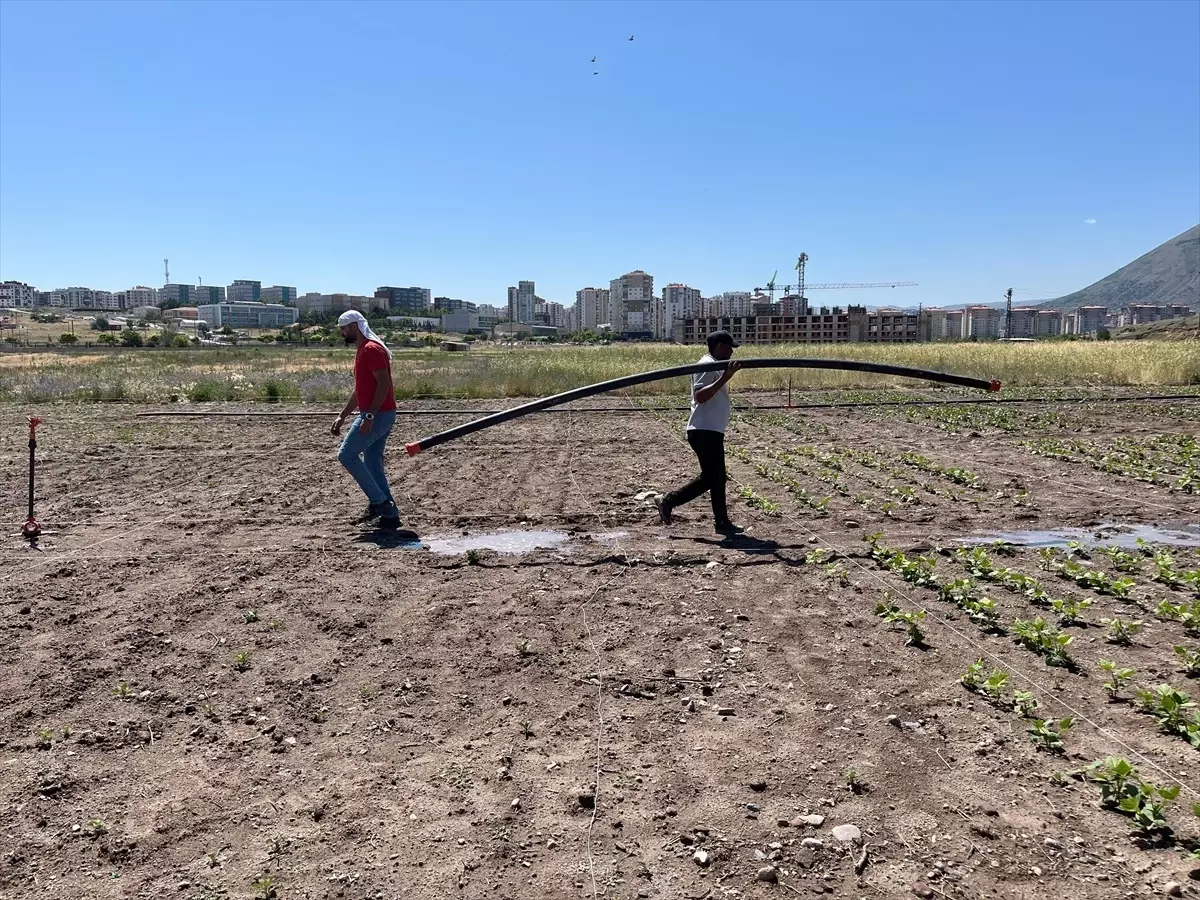 Erciyes Üniversitesi'nden İklim Dirençli Tarım Projesi