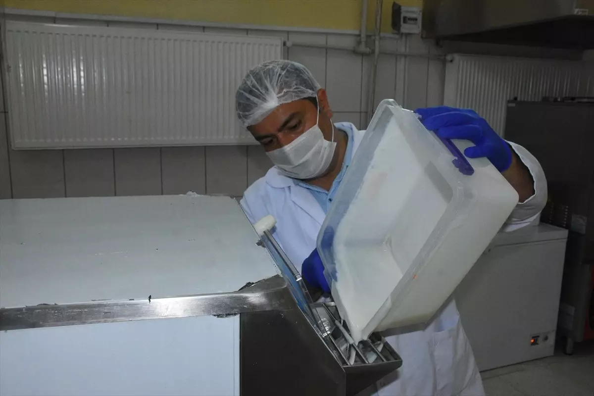 Afyon Kocatepe Üniversitesi'nin Manda Sütüyle Ürettiği Dondurma AKÜDO, Tescillenerek Pazar Hedefliyor