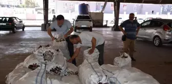 Şahinbey Belediyesi'nden Üreticiden Tüketiciye Proje
