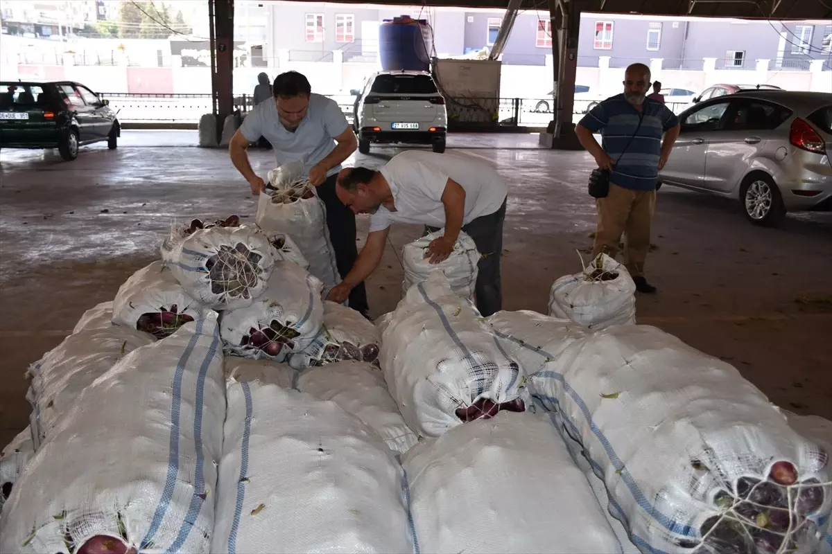 Şahinbey Belediyesi'nden Üreticiden Tüketiciye Proje