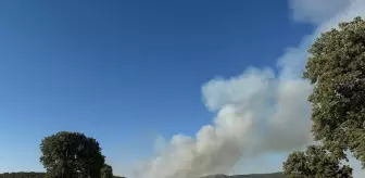 Uşak ve Manisa'da Orman Yangınlarıyla Mücadele Sürüyor