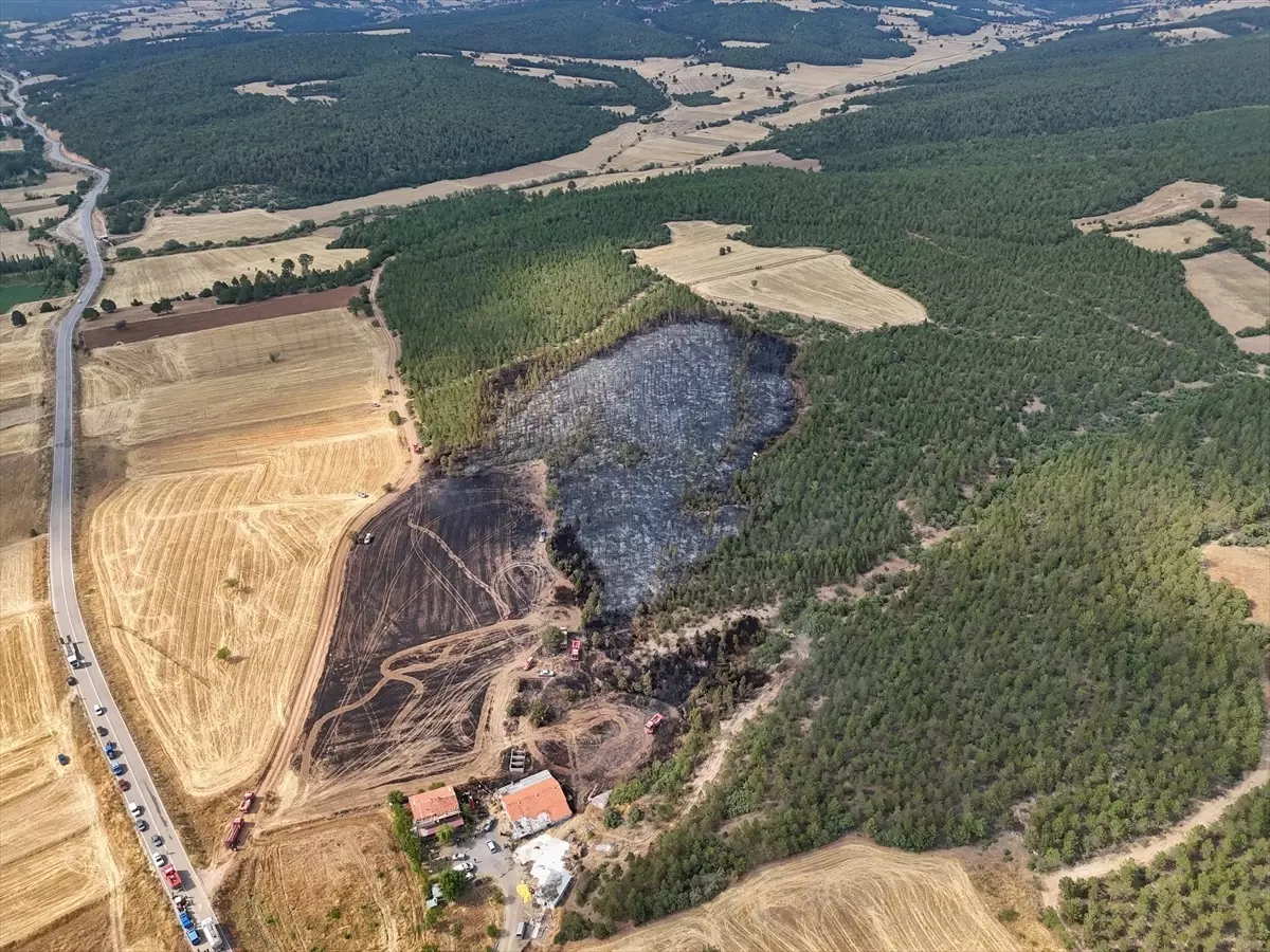 Uşak'ta Anız Yangını Ormanlık Alana Sıçradı