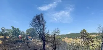 Uşak'ta Meşelik Alanda Yangın Söndürüldü