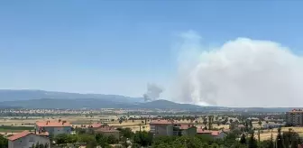 Uşak'ta Meşelik Alanda Yangın, Müdahale Devam Ediyor
