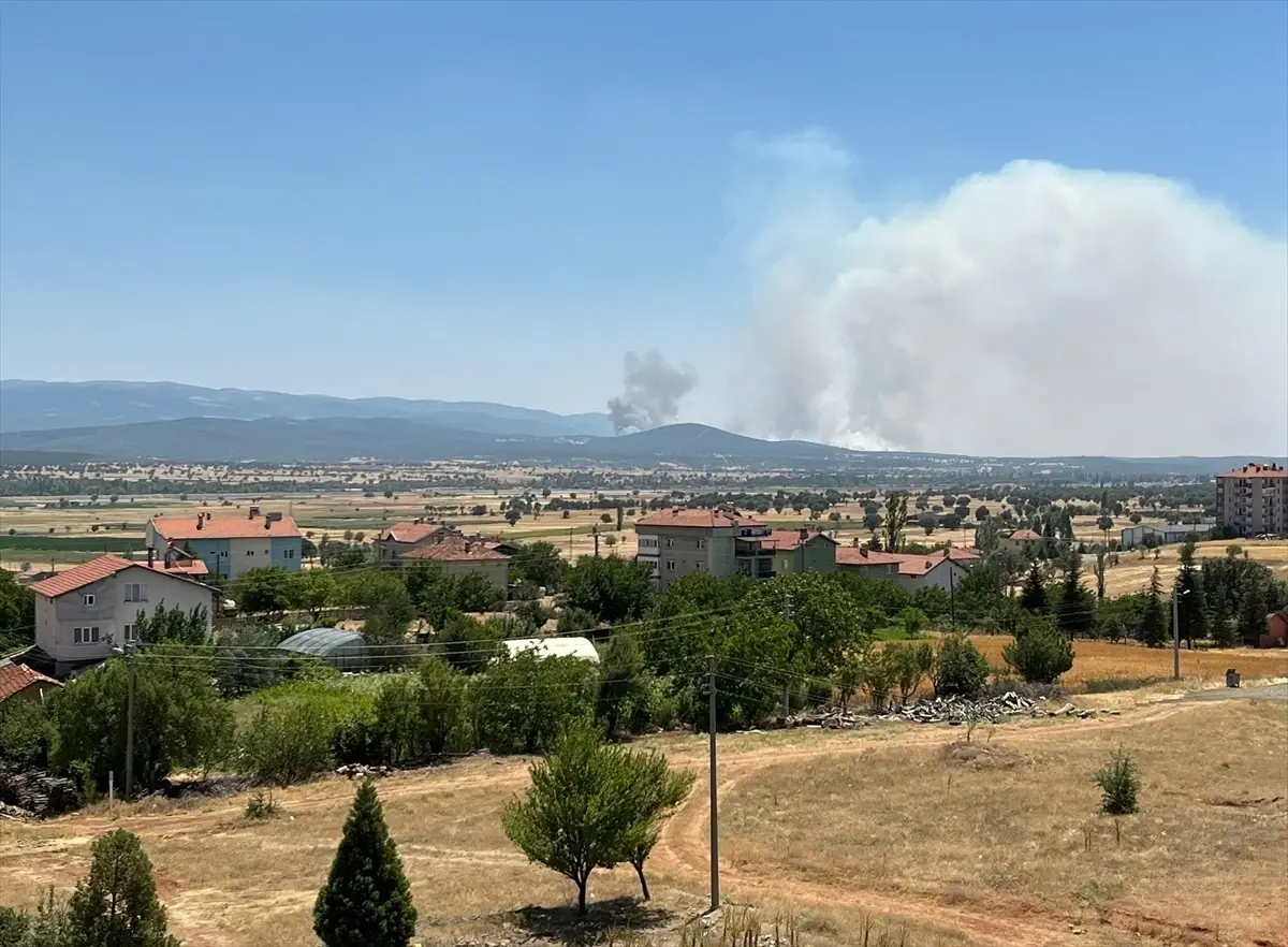 Uşak'ta Meşelik Alanda Yangın, Müdahale Devam Ediyor